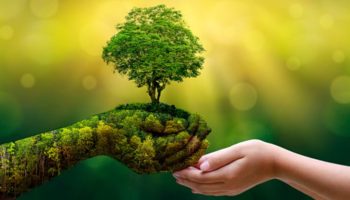 ISO 14001 Certification