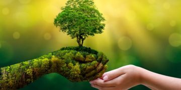 ISO 14001 Certification