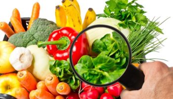 ISO 22000 Certification