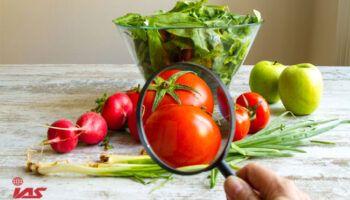 ISO 22000 Certification