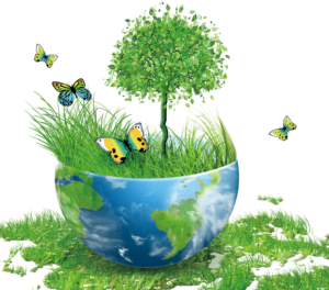 ISO 50001 Lead Auditor Training