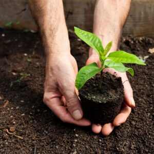 ISO 14001 Lead Auditor Training in Chennai ISO 14001 Lead Auditor Training in Chennai